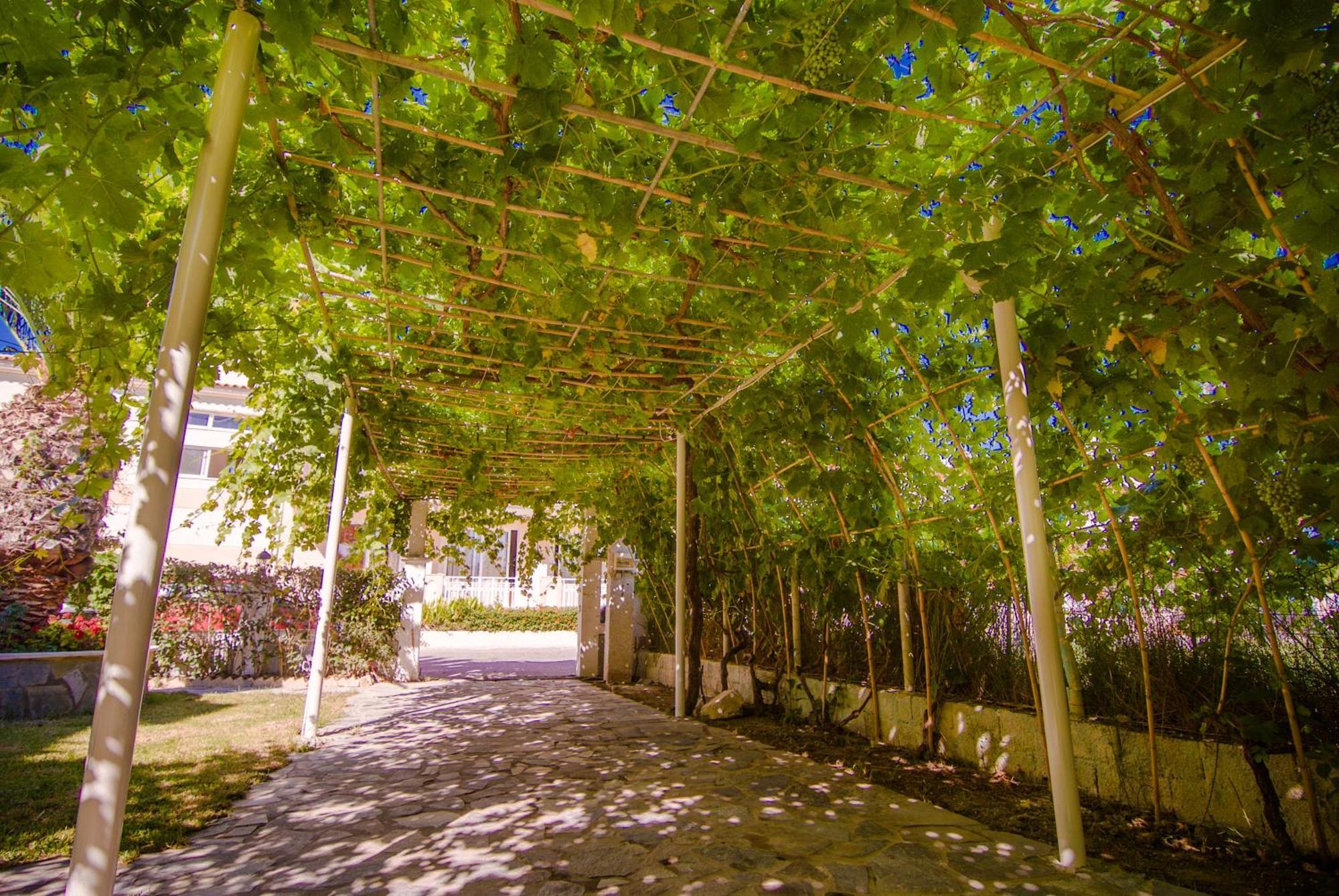 Apartamento Sea Side Tsilivi (Zakynthos)